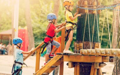 Summer Activity Suggestions For Divorced Families
