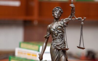The Push for Guardian ad Litem Reform in West Virginia Family Courts