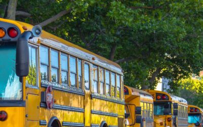 What Divorced Parents Should Know Before School Starts