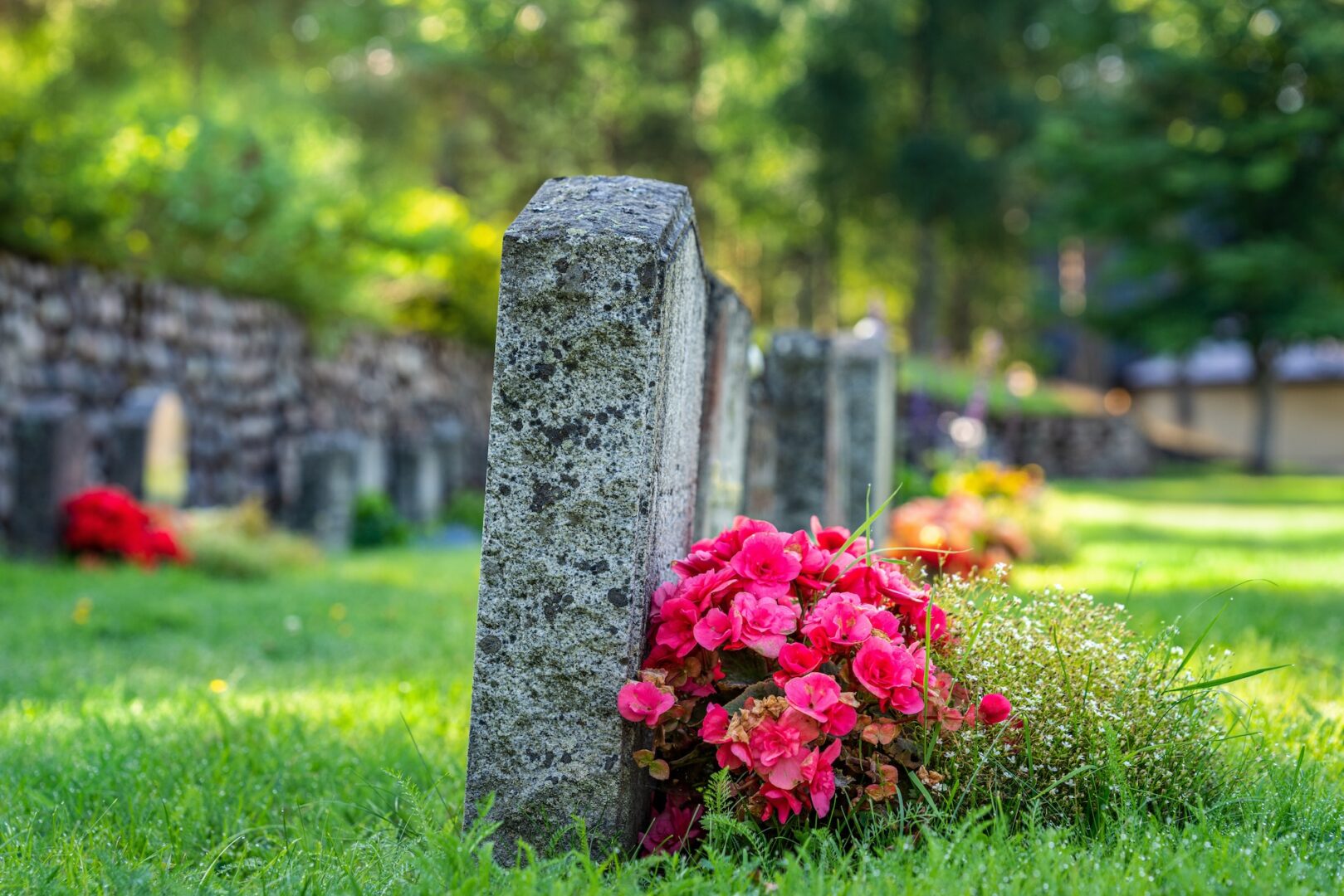 A gravestone in a cemetery is adorned with bright pink flowers. Sunlight filters through trees, casting a peaceful glow over the green grass and other headstones in the background.