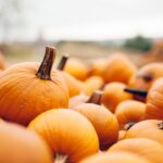 A close-up of a large pile of orange pumpkins outdoors, with blurred pumpkins and a soft, cloudy sky in the background—much like understanding how to use West Virginia's two-year personal injury statute of limitations to ensure timely action.