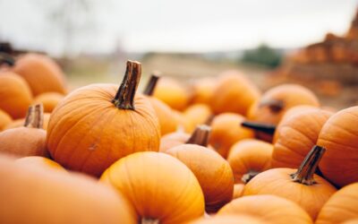 How Separated Families Can Still Enjoy Halloween in WV