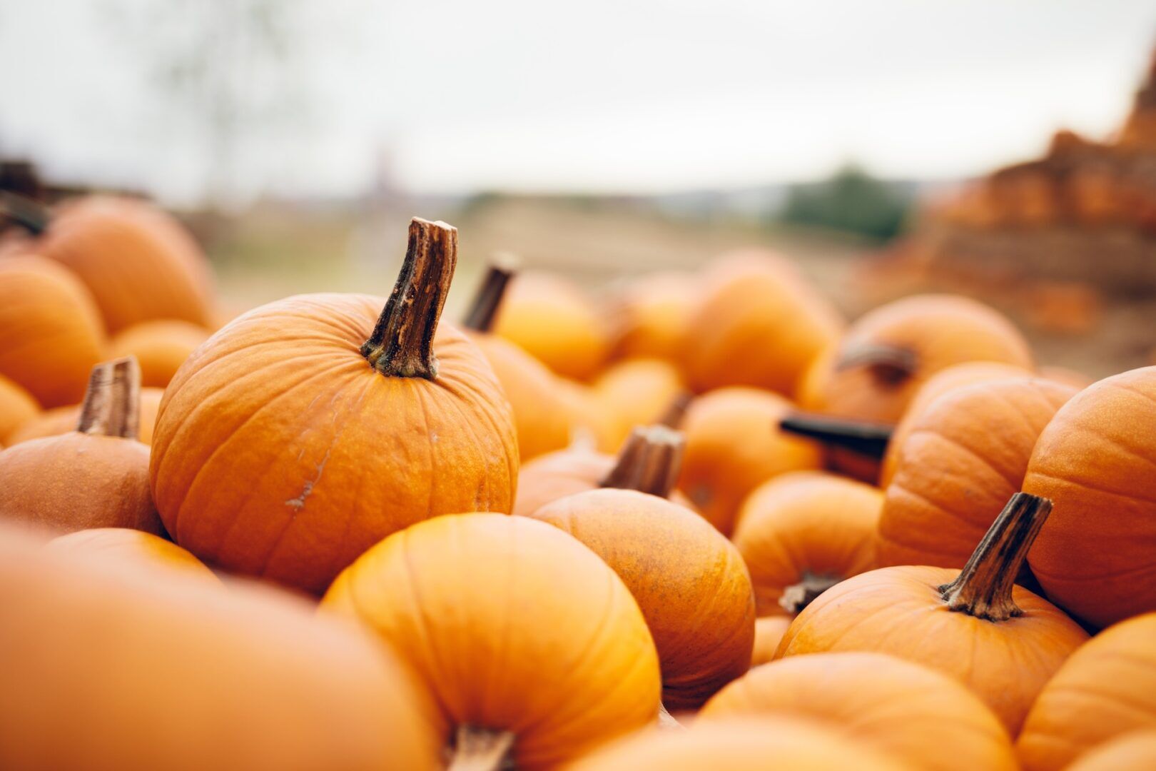 A close-up of a large pile of orange pumpkins outdoors, with blurred pumpkins and a soft, cloudy sky in the background—much like understanding how to use West Virginia's two-year personal injury statute of limitations to ensure timely action.