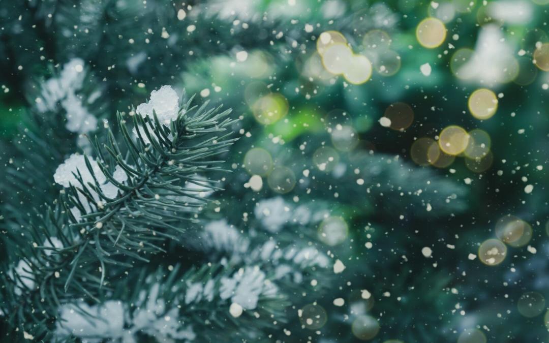 Holiday Time-Sharing & Custody Tips for WV Families