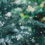 Close-up of a snow-dusted pine branch with falling snowflakes, set against a blurred background of green foliage and golden holiday lights—perfect for sharing Holiday Time-Sharing & Custody Tips for WV Families.