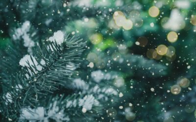 Holiday Time-Sharing & Custody Tips for WV Families