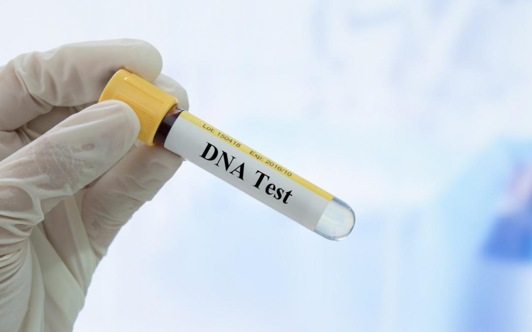 How to Establish Paternity in West Virginia: Legal Process Explained