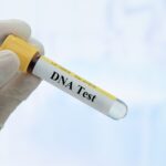 A gloved hand holds a test tube labeled "DNA Test" containing a blood sample, used to establish paternity in West Virginia, with a blurred clinical background.
