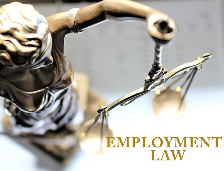 A bronze statue of Lady Justice holding scales, viewed from above, with the words "EMPLOYMENT LAW" written in gold at the bottom right. The background is blurred.